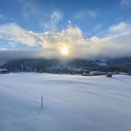 Hotel Berggasthaus Crest'Ota Lenzerheide Exteriér fotografie